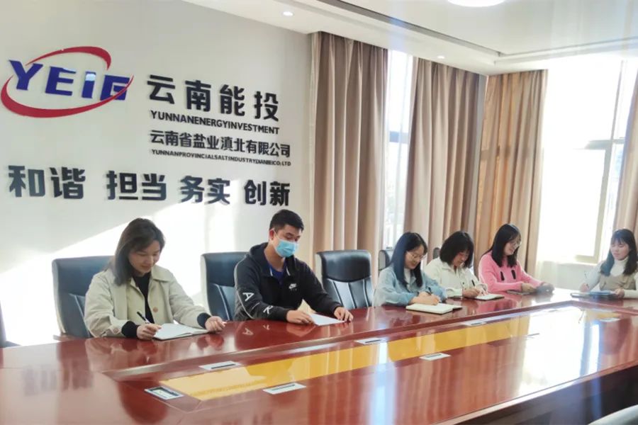 云南盐业滇北公司团支部组织开展学习贯彻党的二十大精神