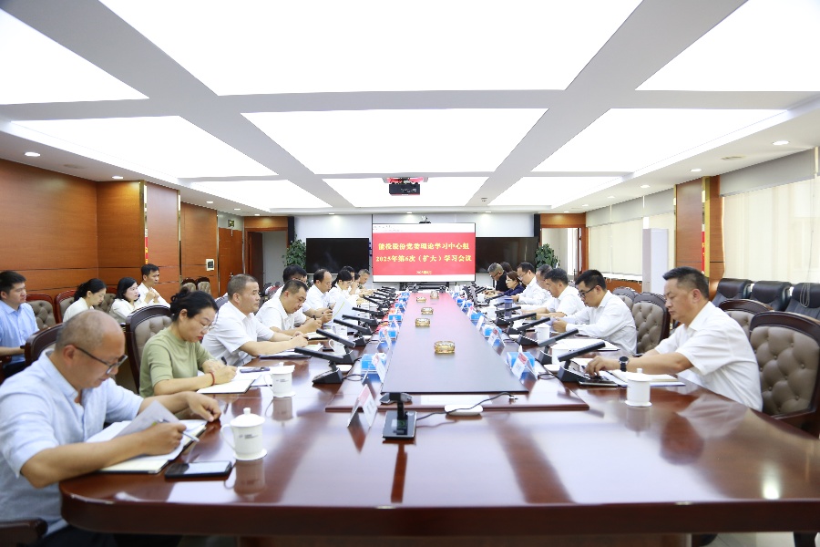 能投股份党委开展理论学习中心组2025年第6次（扩大）学习强调聚焦改革发展难题全力冲刺年度目标