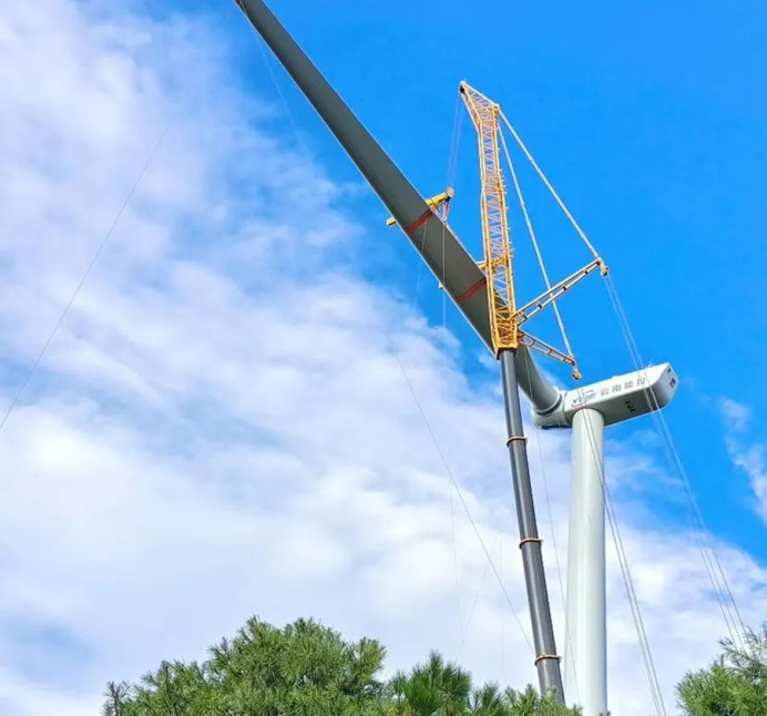 1666773295579809.png image.png