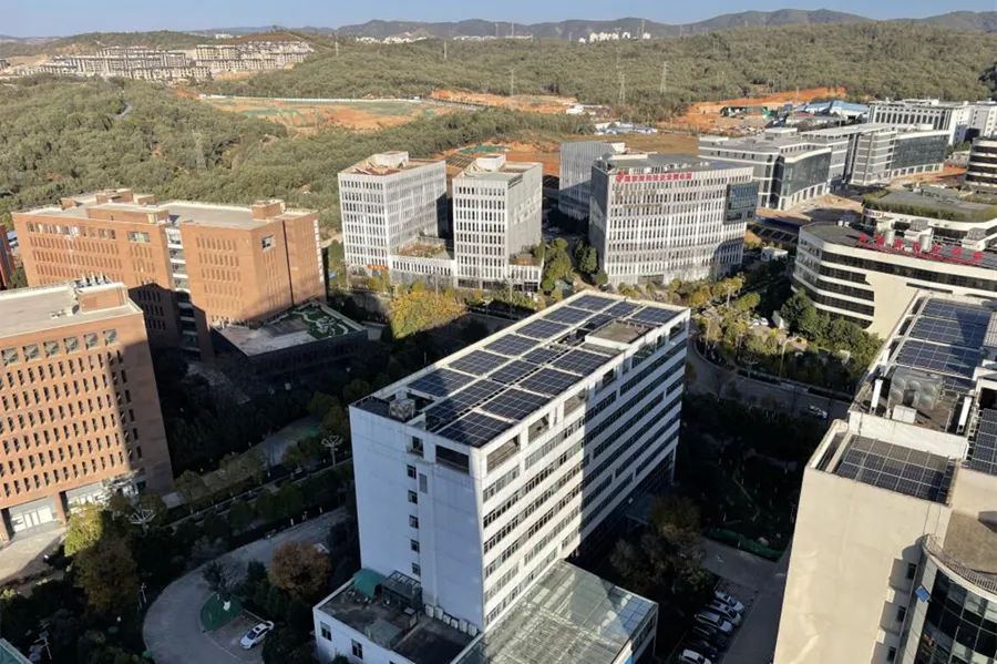 1674900482195993.jpg 1.jpg