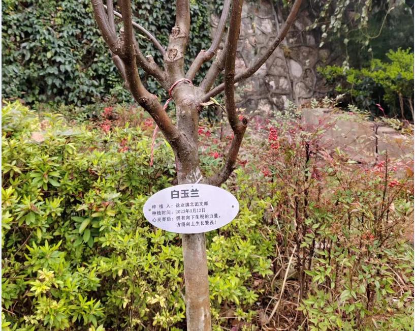 1679456595506354.jpg 222.jpg