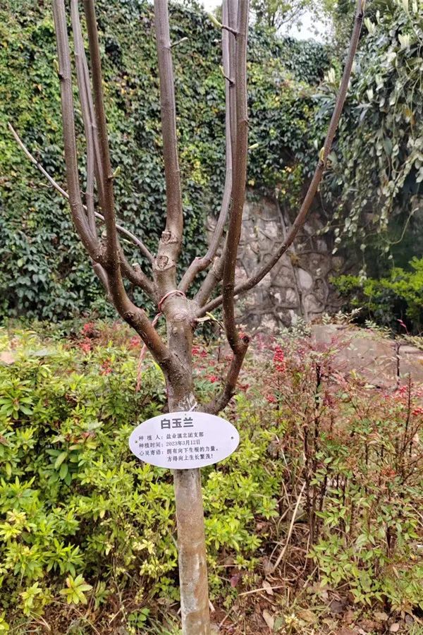 1679642838764216.jpg 微信图片_20230324152311.jpg