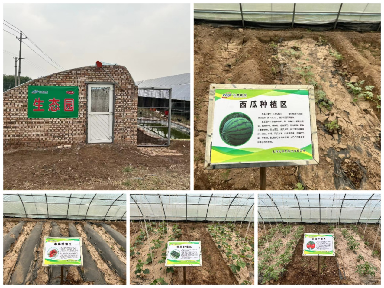 1715157124599813.png 图片1.png