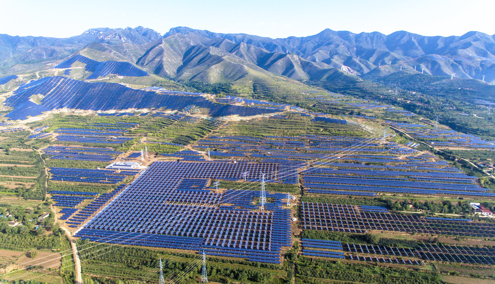 1716192205280192.jpg 图片1_副本.jpg