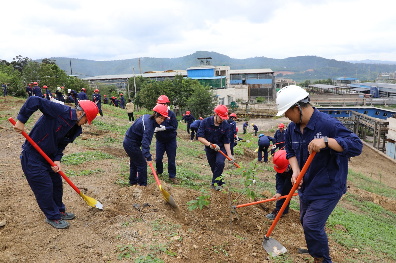 1720432614224594.jpg 种植2.jpg