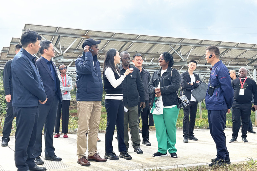 1732245152493206.jpg 参观农业光伏区_副本.jpg