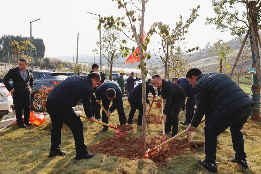 1742369400377554.jpg 植树活动_副本.jpg